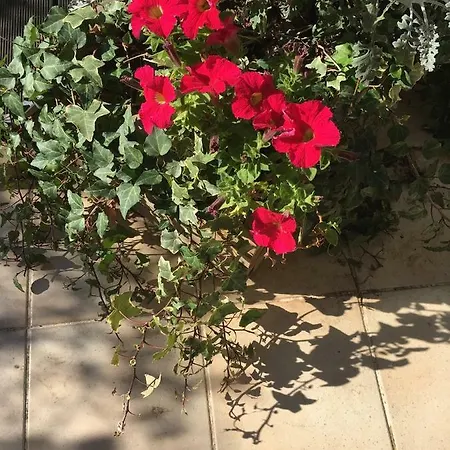 Jardin Des Orchidees Fréjus