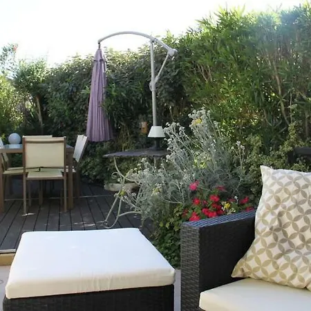 Jardin Des Orchidees